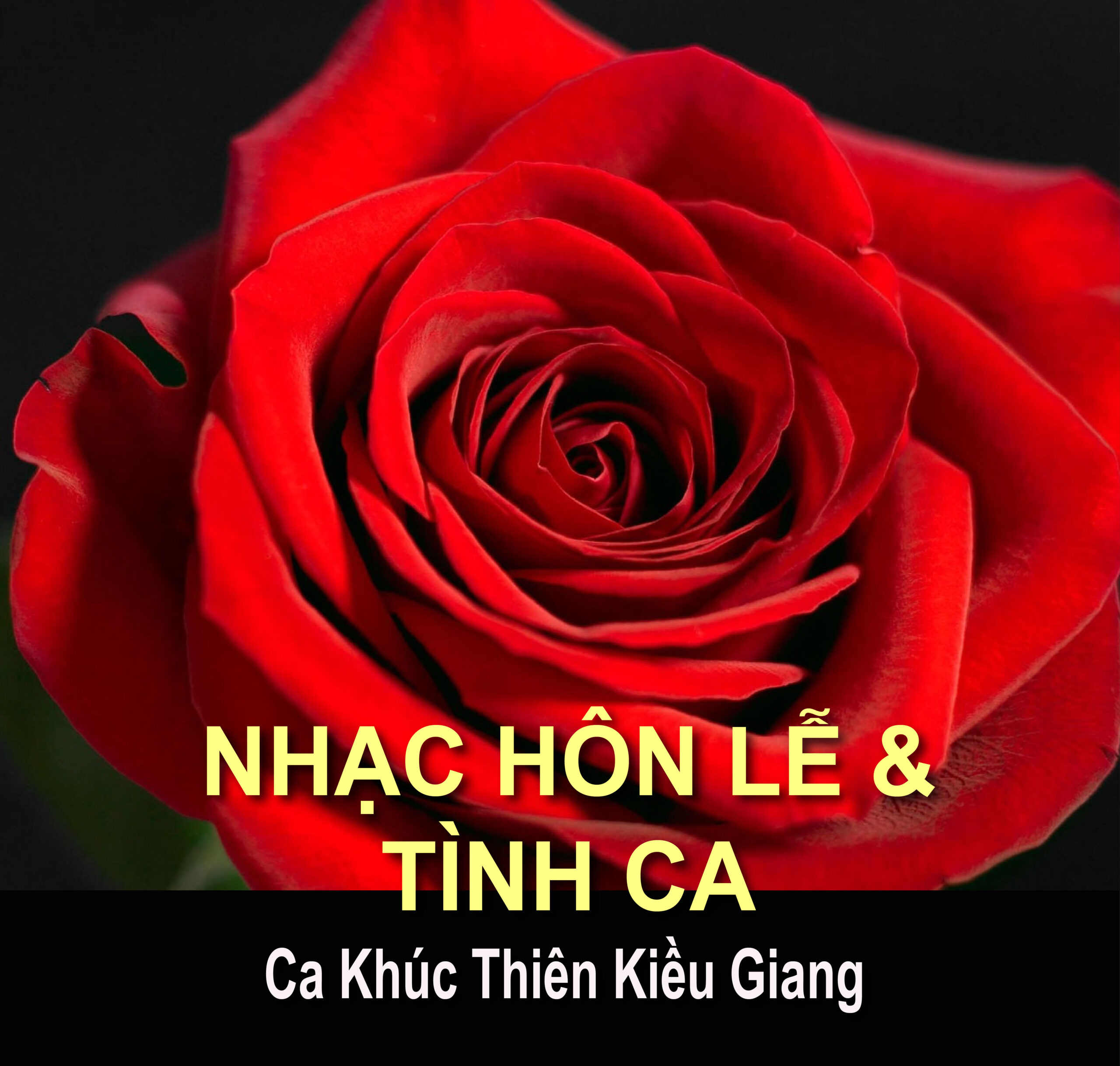 Nhạc Hôn Lễ & Tình Ca