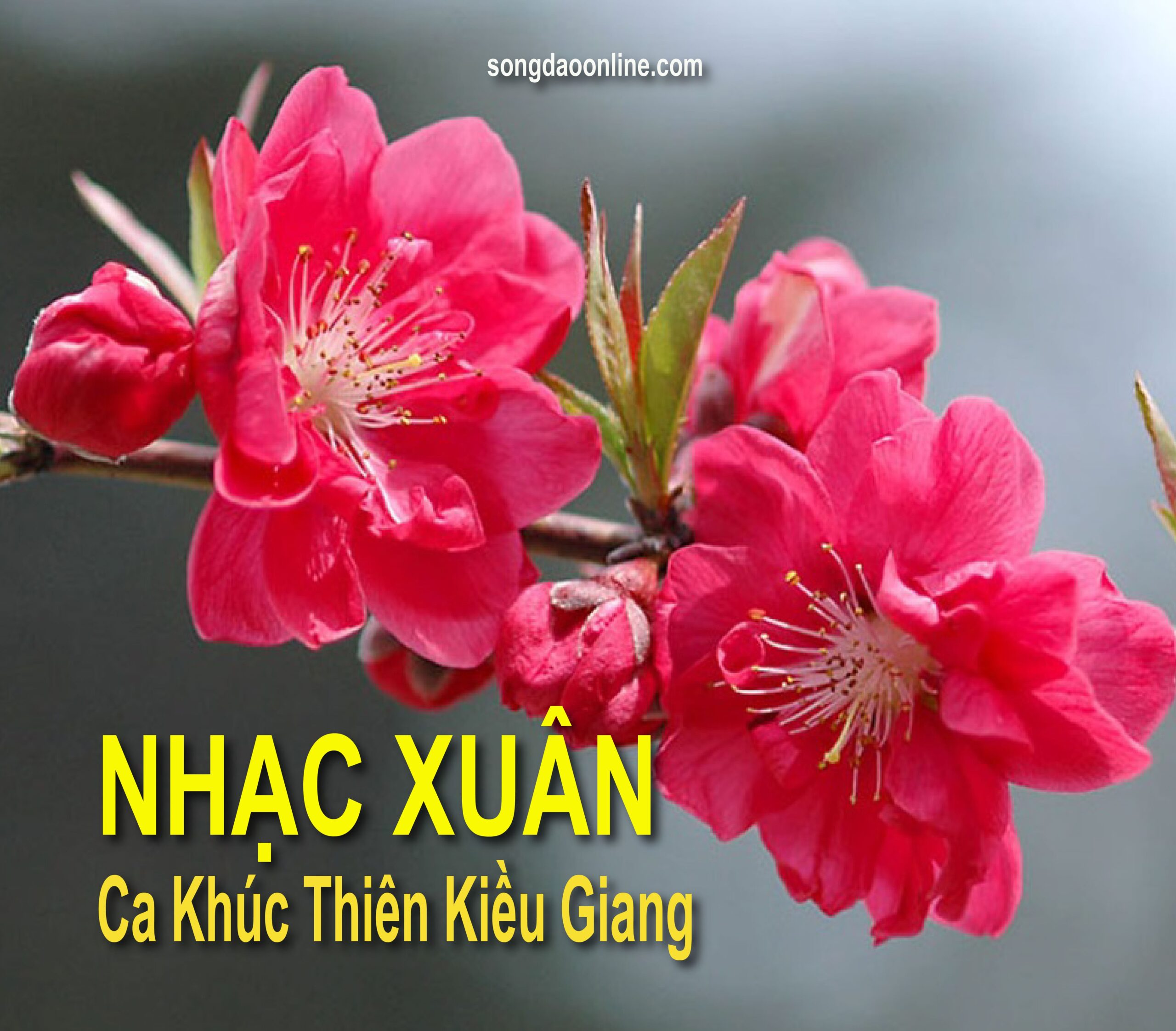 Nhạc Xuân